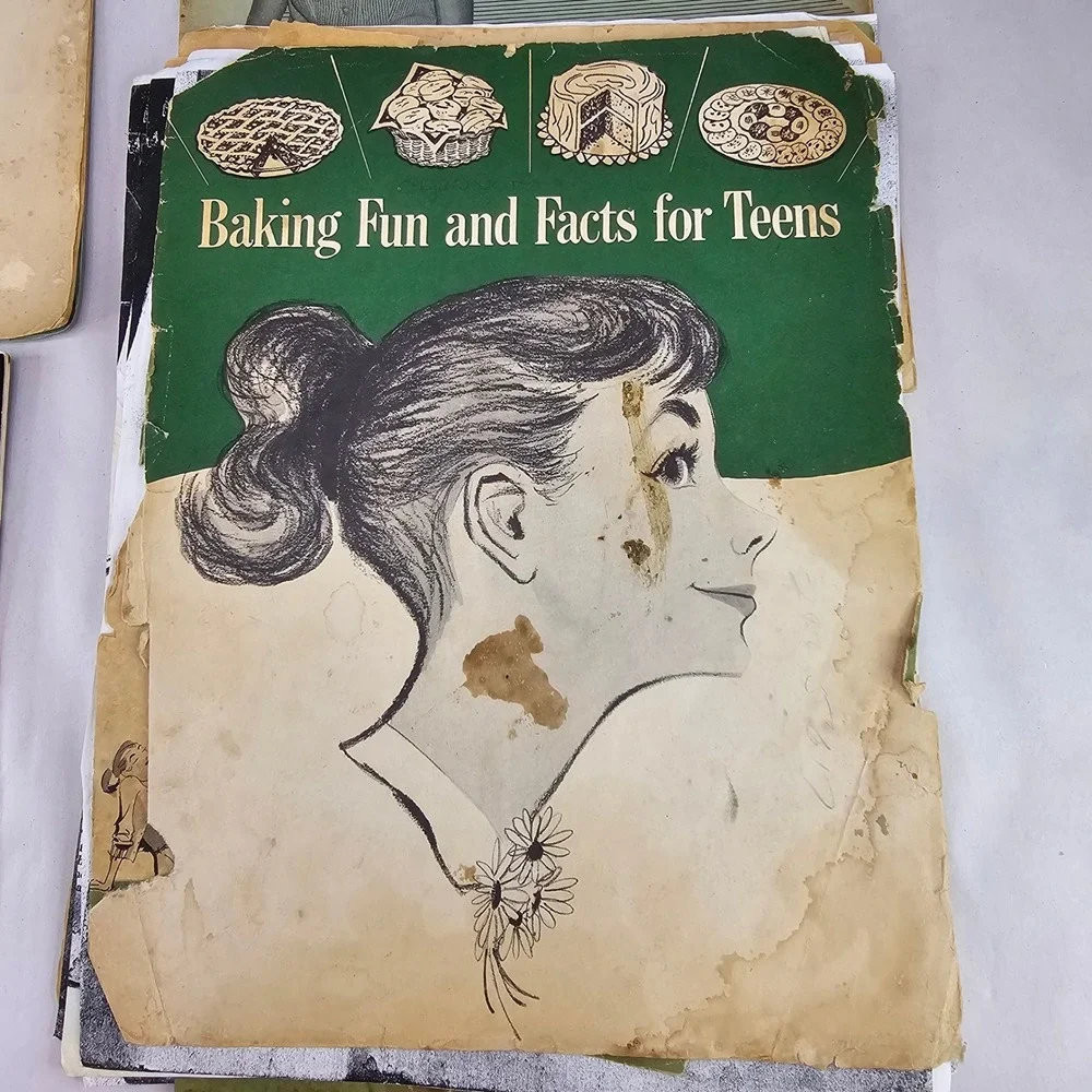 VTG. Cookbooks Recipe Booklets Lot of 4 Osterizer Blender, Beef‎ Budget, Baking